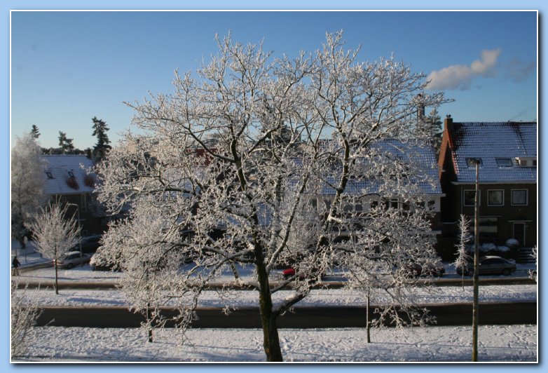 Arnhem Snow 103